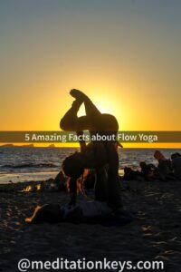 5 Amazing Facts about Flow Yoga