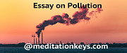 Essay on Pollution